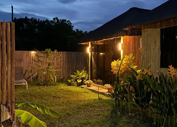 The Bamboo 3 * Pooc