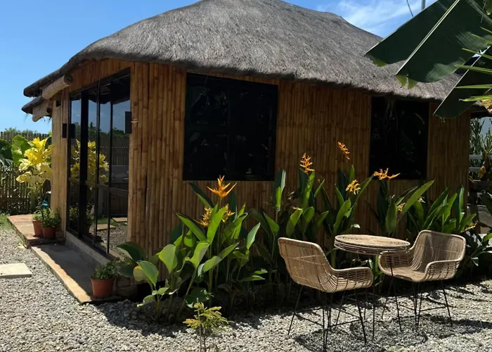 The Bamboo 3 *